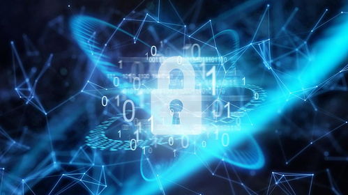 97个数字职业面世 网络技术开发就业市场的新机遇与挑战